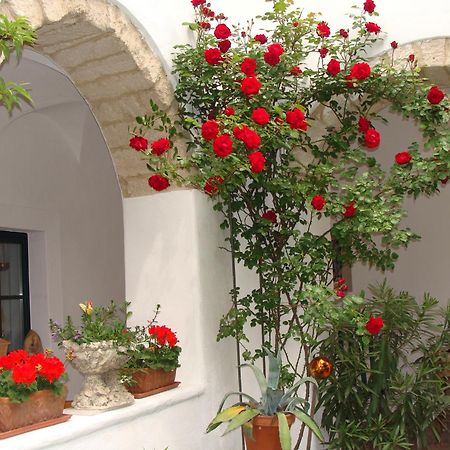 Gaestehaus Hans Moser برباش ام نيوسيدله المظهر الخارجي الصورة